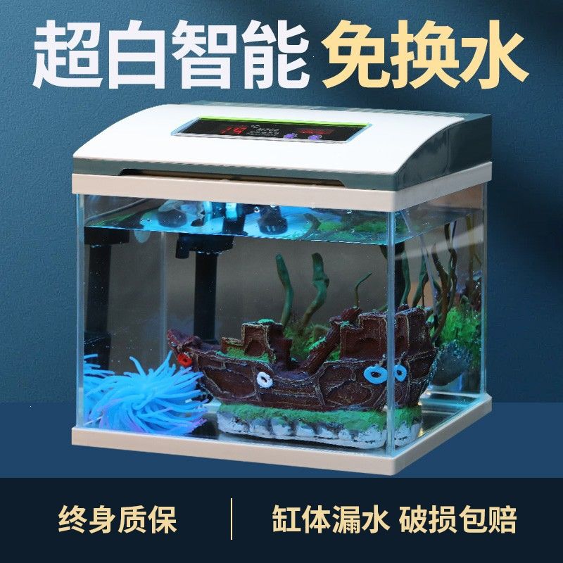 玻璃魚缸漏水怎么辦小妙招：處理玻璃魚缸漏水的小妙招