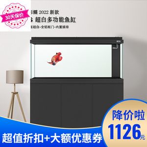 彩蝶魚缸底濾分析圖：彩蝶魚缸底濾分析圖，彩蝶魚缸底濾的特點(diǎn)和常見擺放方式