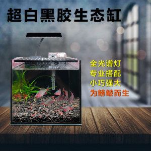 超白魚缸和水族箱哪種更實用：超白魚缸與水族箱的區(qū)別 魚缸百科 第3張