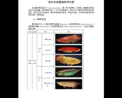 龍魚為什么國(guó)內(nèi)繁殖不了：關(guān)于龍魚在國(guó)內(nèi)繁殖不了的原因