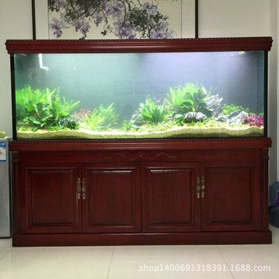 大型觀賞魚缸定制：大型觀賞魚缸定制與水族工程提供大型觀賞魚缸定制服務 魚缸百科 第3張