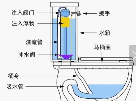 彩蝶溢流區(qū)構(gòu)造圖：如何減少魚(yú)缸溢流區(qū)噪音