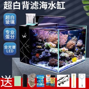 彩蝶海水缸能放多高蛋分：如何選擇彩蝶海水缸的蛋分 彩鰈魚(yú)缸（彩蝶魚(yú)缸） 第2張