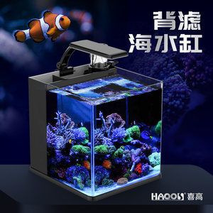 彩蝶海水缸能放多高蛋分：如何選擇彩蝶海水缸的蛋分 彩鰈魚(yú)缸（彩蝶魚(yú)缸） 第3張