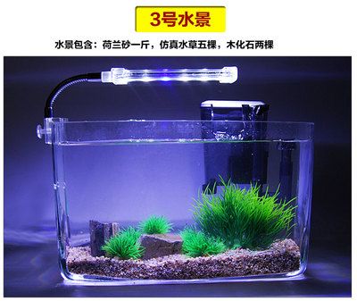 大圓魚缸適合養(yǎng)水培植物：大圓魚缸適合養(yǎng)什么水培植物？ 魚缸百科 第1張