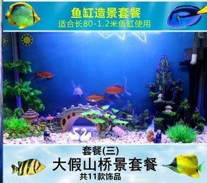 創(chuàng)意庭院魚池魚缸組合：創(chuàng)意庭院魚池魚缸組合設(shè)計 魚缸百科 第3張