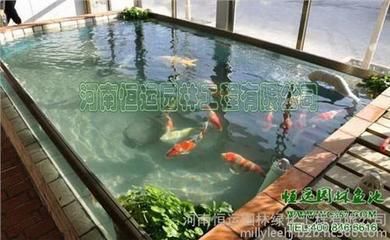 打氣筒給魚(yú)缸打氧：使用打氣筒給魚(yú)缸打氧時(shí)需要了解魚(yú)缸增氧的原理和方法 魚(yú)缸百科 第1張