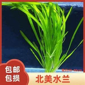 北美魚缸造景：北美魚缸造景之造景技巧 魚缸百科 第4張