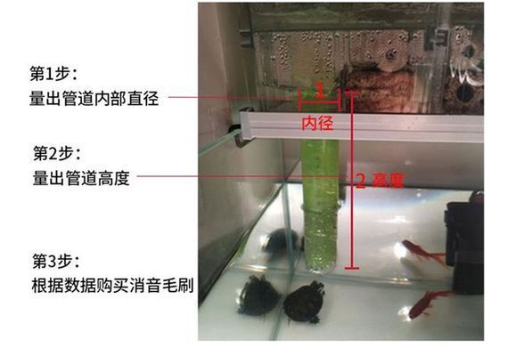 彩蝶魚(yú)缸下水口聲音太大怎么回事：彩蝶魚(yú)缸下水口聲音大怎么辦