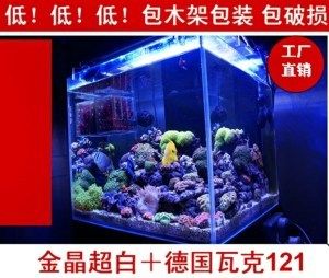 包裝一個魚缸大概需要多少錢呢：包裝一個魚缸的費(fèi)用時需要考慮到以下幾個方面 魚缸百科 第3張