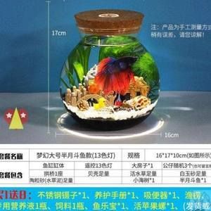 玻璃魚缸怎么養(yǎng)水藻