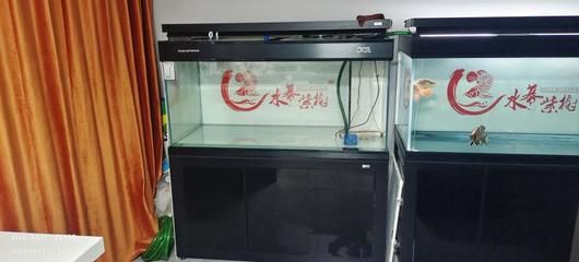 1.5米彩蝶魚缸用多大流量水泵