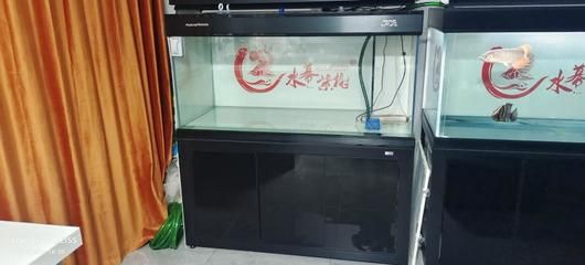 1.5米彩蝶魚缸用多大流量水泵