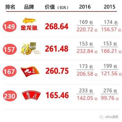 金龍魚品牌在中國排第幾名了：金龍魚品牌在中國市場上具有較高的排名和知名度 龍魚百科