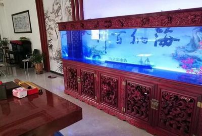 大缸改魚缸：如何將大缸改造成魚缸 魚缸百科 第3張