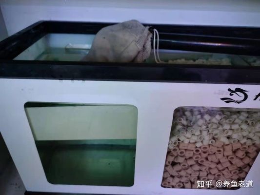 彩蝶魚缸過濾袋泡在水里會怎么樣?。翰实~缸過濾袋泡在水里可能會導(dǎo)致以下幾種情況