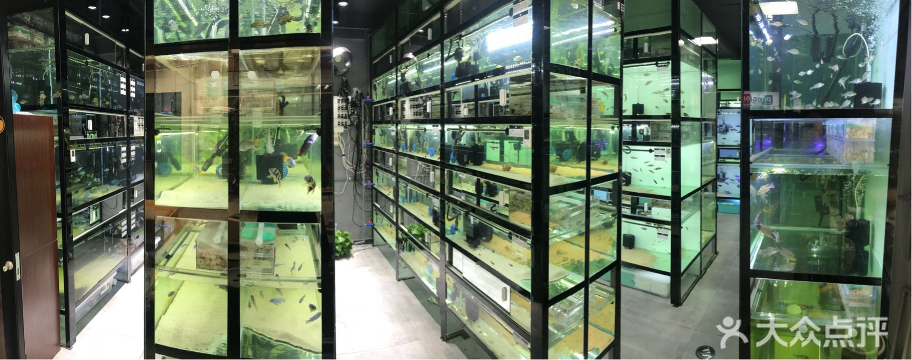 布吉水族魚缸店 魚缸百科 第2張