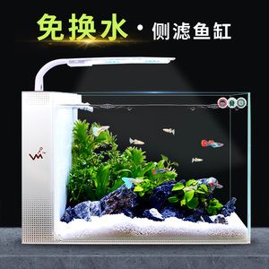 側(cè)濾魚缸造景：側(cè)濾魚缸造景是一種在魚缸內(nèi)進(jìn)行布置的方法和方法 魚缸百科 第2張