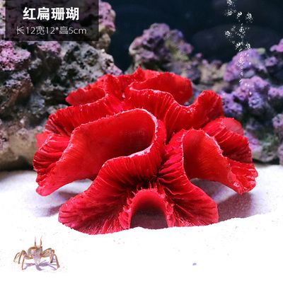 扁的魚缸怎么造景的視頻：尋找扁的魚缸造景的視頻教程:魚缸造景教程分享 魚缸百科 第1張