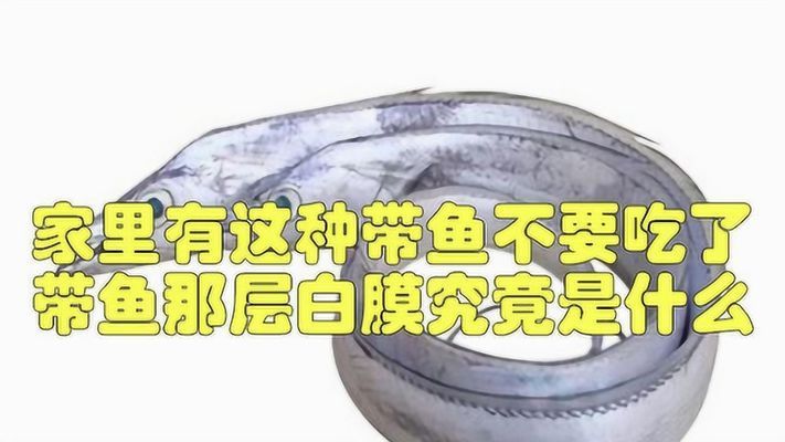 魟魚(yú)表面白色膜狀物：魟魚(yú)表面出現(xiàn)白色膜狀物可能是由于多種原因引起的 魟魚(yú)百科 第1張