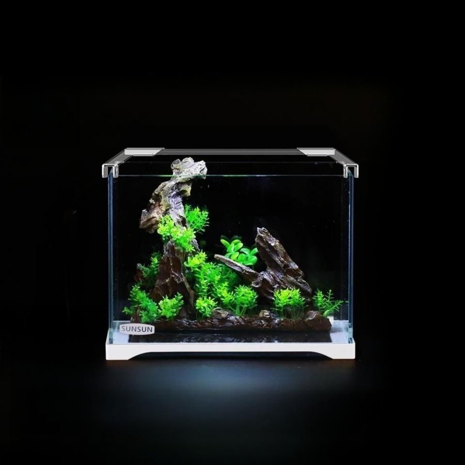 斗魚缸造景30缸可以嗎：斗魚缸造景30方缸是否可以風(fēng)靡全球 魚缸百科 第4張