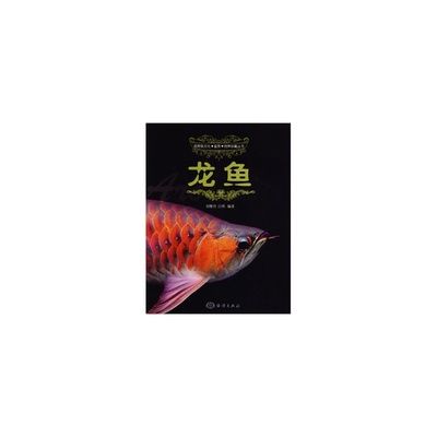 北京龍魚品牌介紹：北京龍魚品牌產(chǎn)品牌市場地位