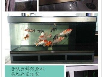 魚缸跌酸對(duì)魟魚影響：魚缸跌酸對(duì)魟魚有影響嗎 魟魚百科 第1張