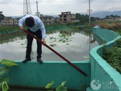 辦公室能放魚缸嗎 黨員：辦公室養(yǎng)魚的風(fēng)水禁忌 魚缸百科 第1張