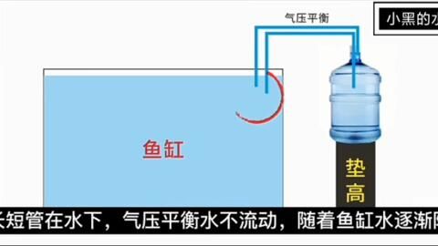 出門魚缸怎么補水：魚缸自動補水方法