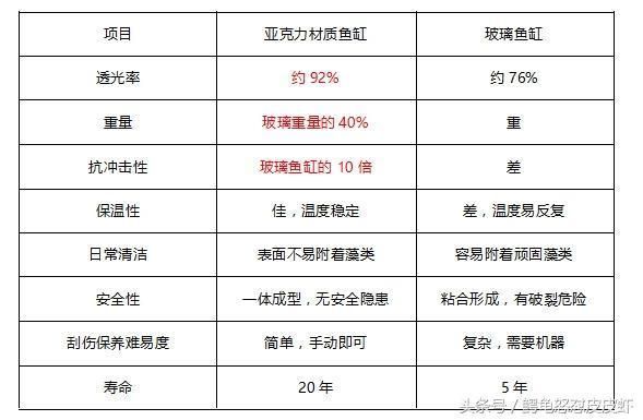 超白魚缸刮花了怎么辦：超白魚缸刮花怎么修復 魚缸百科 第2張