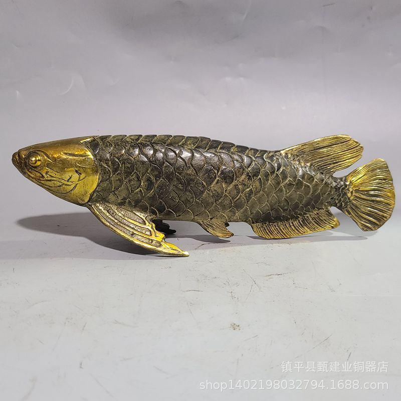 怎么讓金龍魚有金屬感：怎么讓金龍魚具有金屬感 龍魚百科 第3張