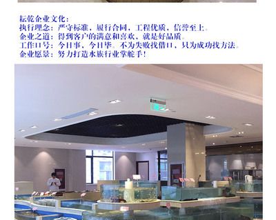 承包酒店魚缸合同怎么寫：承包酒店海鮮缸魚缸維護(hù)合同 魚缸百科 第3張