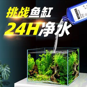 l魚缸凈水劑的用法：魚缸凈水劑的使用方法 魚缸百科 第1張