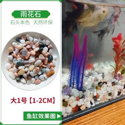 彩色石子放魚缸有毒嗎：彩色石子是否適合放入魚缸 魚缸百科 第1張