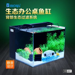 背濾魚缸造景：背濾魚缸造景的優(yōu)點(diǎn)和缺點(diǎn)和缺點(diǎn)了解背濾魚缸的優(yōu)點(diǎn) 魚缸百科 第1張