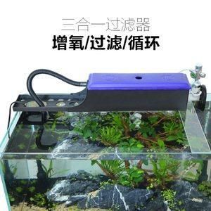 不用增氧泵怎么給魚缸增氧：如何提高魚缸中的溶氧量 魚缸百科 第3張