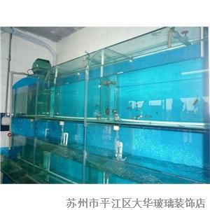 玻璃魚缸用什么膠水粘比較好：粘接玻璃魚缸用什么膠好 魚缸百科 第4張