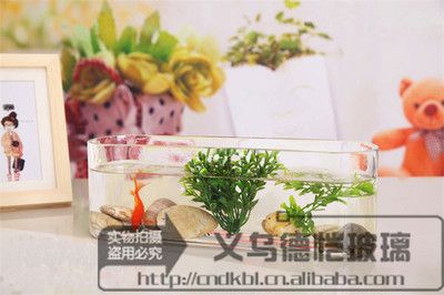 玻璃魚缸好還是陶瓷魚缸好呢：玻璃魚缸vs陶瓷魚缸如何選擇合適的魚缸？ 魚缸百科 第3張