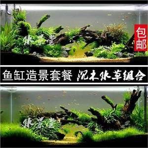 不種水草的魚缸造景：不種水草的魚缸造景是一種更加靈活和個性化的創(chuàng)作方式 魚缸百科 第1張