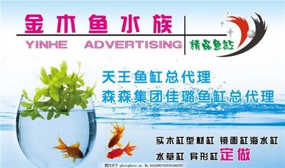 森森水族集團(tuán)：森森水族集團(tuán)怎么樣 森森魚缸