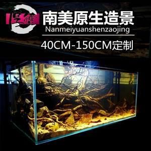 沉木魚缸養(yǎng)什么魚好看：如何選擇適合的沉木魚缸 魚缸百科 第2張