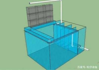 側濾魚缸改造升級方案設計：側濾魚缸改造升級方案 魚缸百科 第1張