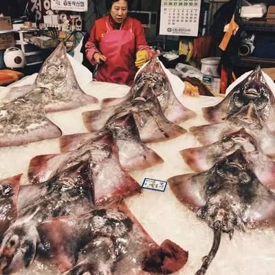 魟魚不長個 肝臟發(fā)黑：[需手動填充]魚遇到生長停滯和肝臟病變的問題可能是多種因素引起的 魟魚百科 第2張