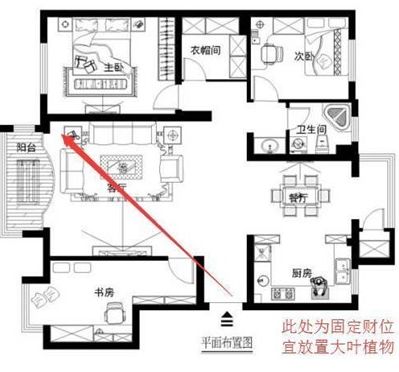 大型魚缸客廳風水財位方位：大型魚缸在客廳風水財位的方位應該如何擺放？