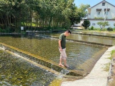 彩蝶c款過濾 彩鰈魚缸（彩蝶魚缸） 第3張