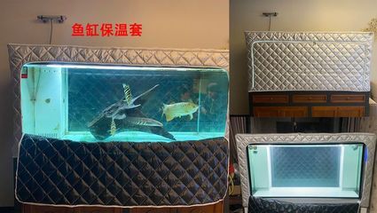 超大魚缸怎么加熱：超大魚缸加熱棒需要考慮魚缸大小、加熱效率和安全性等問題 魚缸百科 第1張