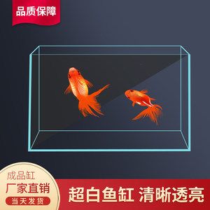 超白魚缸是鋼化玻璃嗎：超白魚缸和普通玻璃有什么區(qū)別？ 魚缸百科 第3張