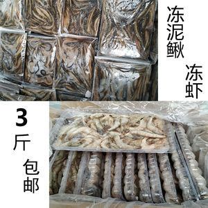 虎魚吃冰凍過的泥鰍安全嗎：虎魚吃冰凍過的泥鰍安全嗎虎魚吃冰凍過的泥鰍安全嗎 虎魚百科 第3張