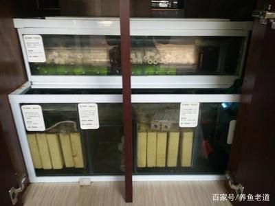 森森2格底濾濾材擺放：森森2格底濾魚缸濾材怎么擺放 森森魚缸