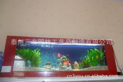 玻璃魚(yú)缸壽命能用多久：如何延長(zhǎng)玻璃魚(yú)缸的壽命 魚(yú)缸百科 第3張